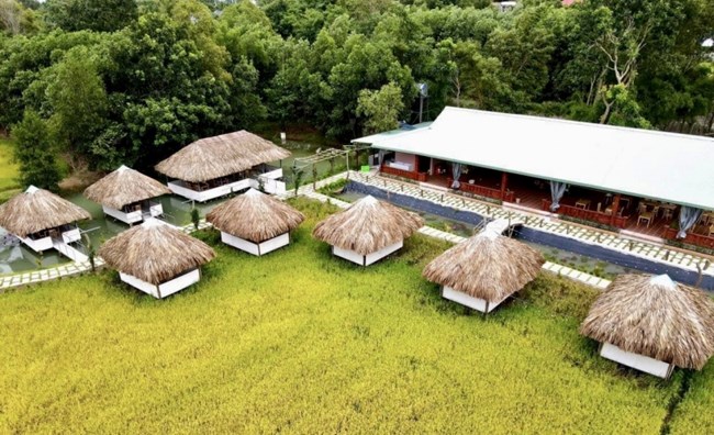 Loạn homestay, farmstay không phép ở Bà Rịa - Vũng Tàu (29/8/2022)